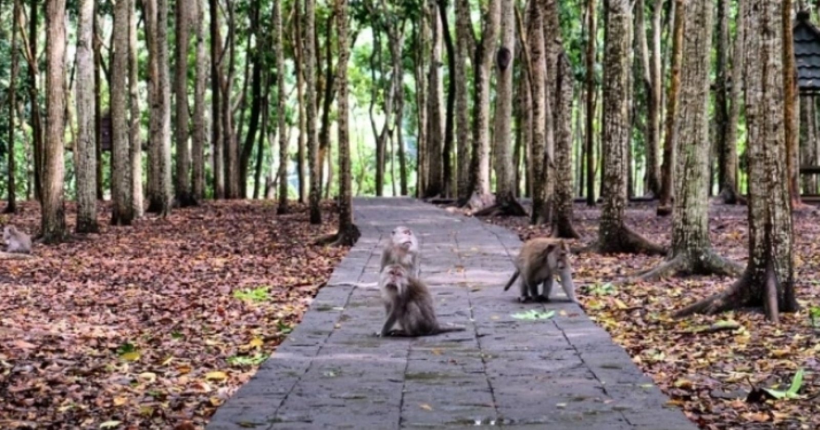 ekowisata Indonesia