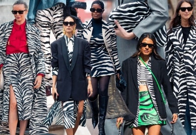 animal prints
